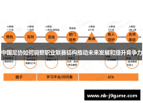 中国足协如何调整职业联赛结构推动未来发展和提升竞争力