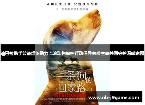 迪巴拉携手公益组织助力流浪动物保护行动倡导关爱生命共同守护温暖家园