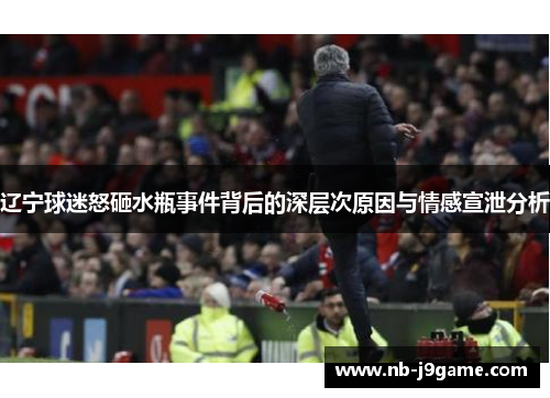 辽宁球迷怒砸水瓶事件背后的深层次原因与情感宣泄分析