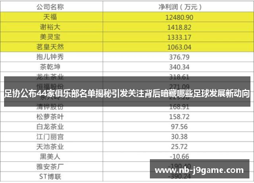 足协公布44家俱乐部名单揭秘引发关注背后暗藏哪些足球发展新动向
