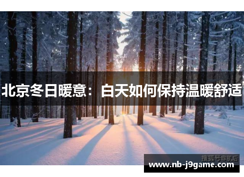 北京冬日暖意：白天如何保持温暖舒适