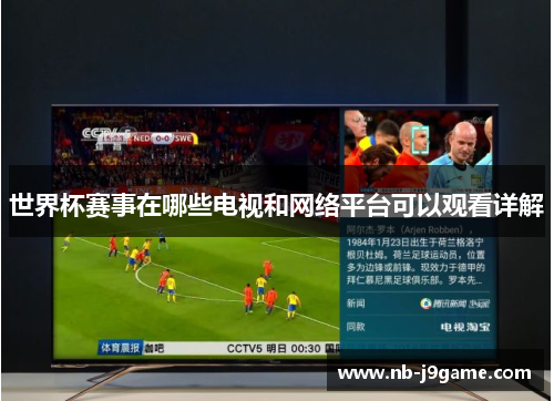 世界杯赛事在哪些电视和网络平台可以观看详解